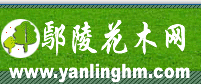 ۳�껨ľ��