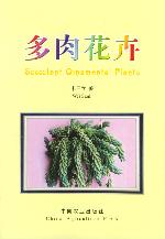 多肉花卉