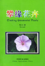 攀缘花卉